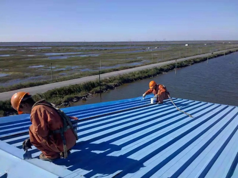 后湖管理区彩钢瓦屋面防腐翻新